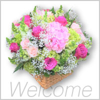 Moncheriーモン・シェリー